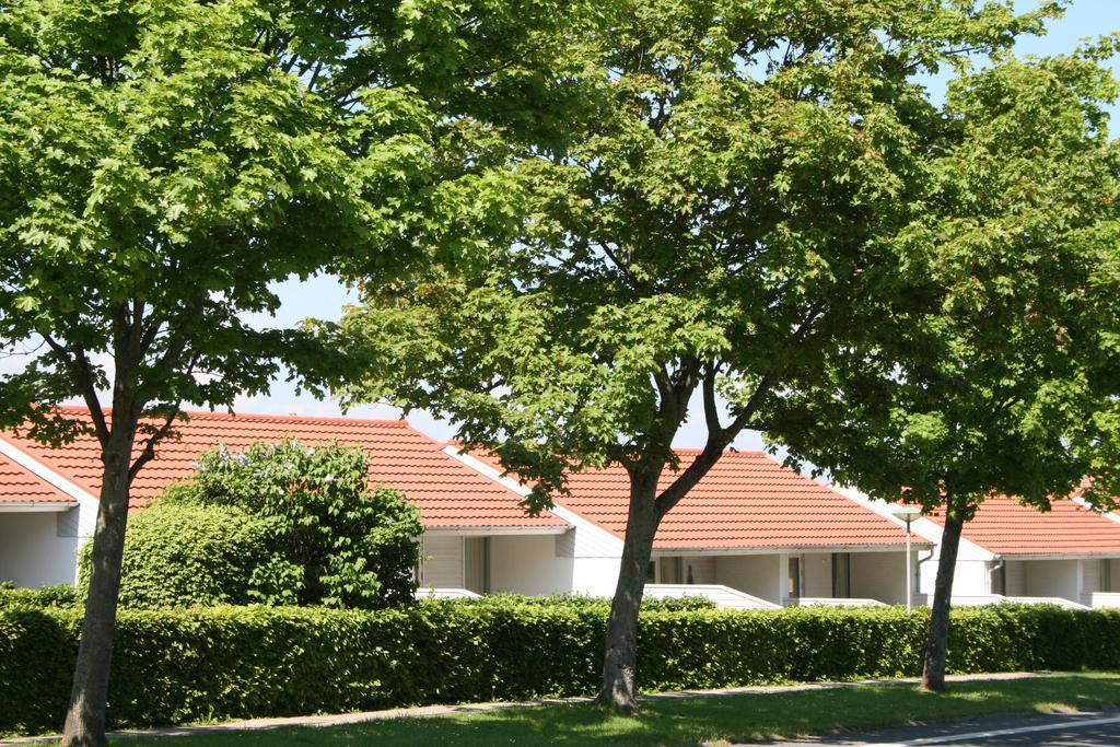 Aero Marina Villa Aeroskobing Ngoại thất bức ảnh